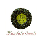 Mandala Seeds
