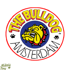 Bulldog Seeds