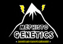 Mephisto Genetics