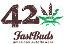 FastBuds